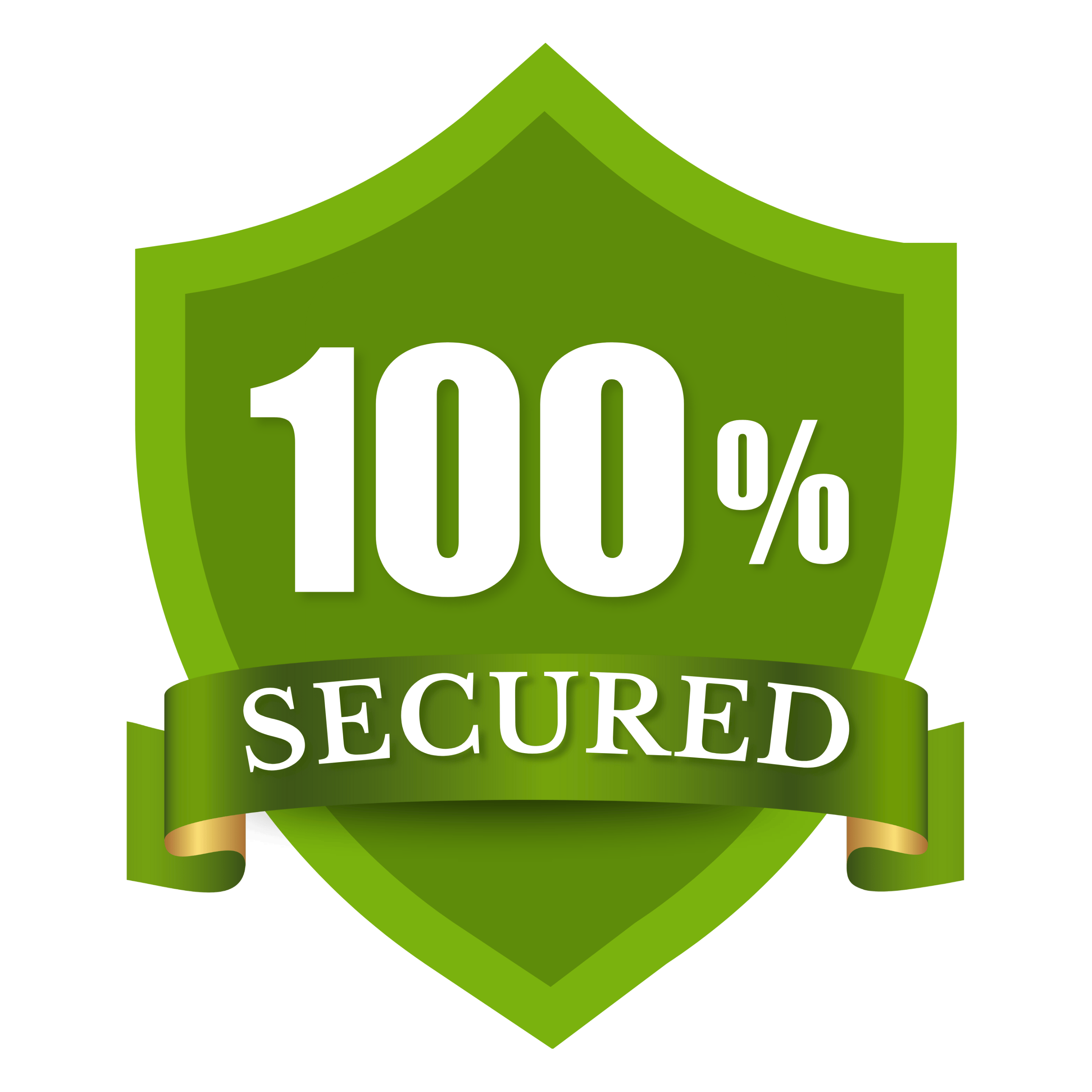 Secured Logo